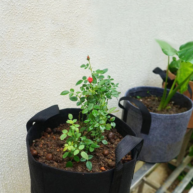 Plant Container With Handles Non Woven Fabric Plants Pot