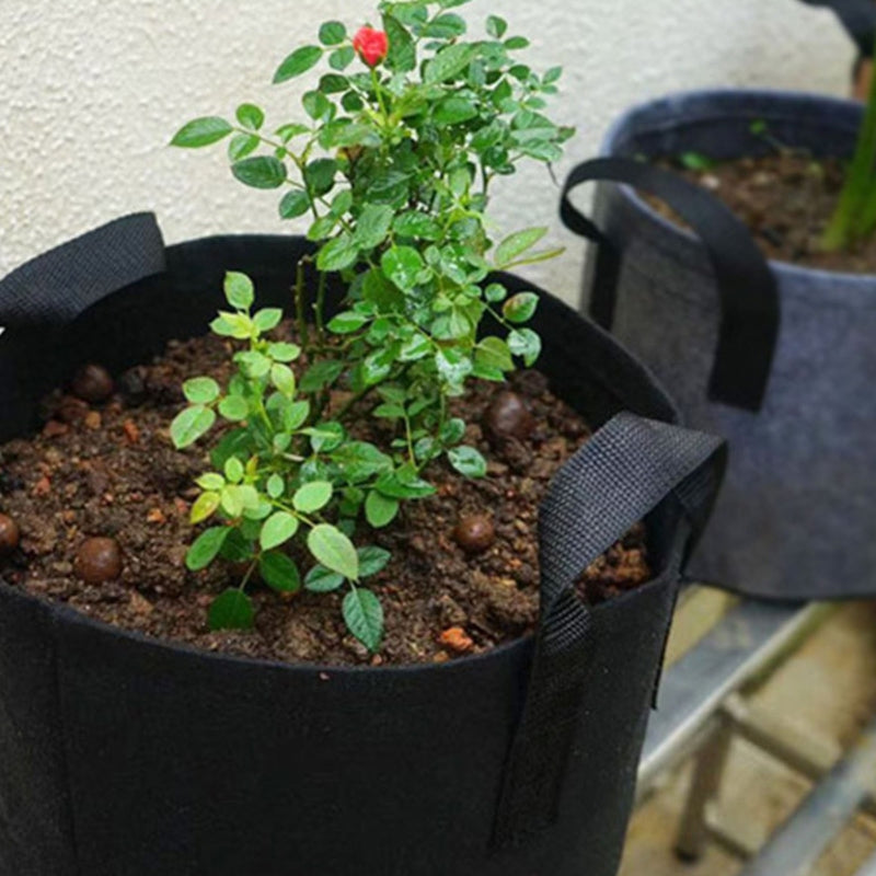 Plant Container With Handles Non Woven Fabric Plants Pot