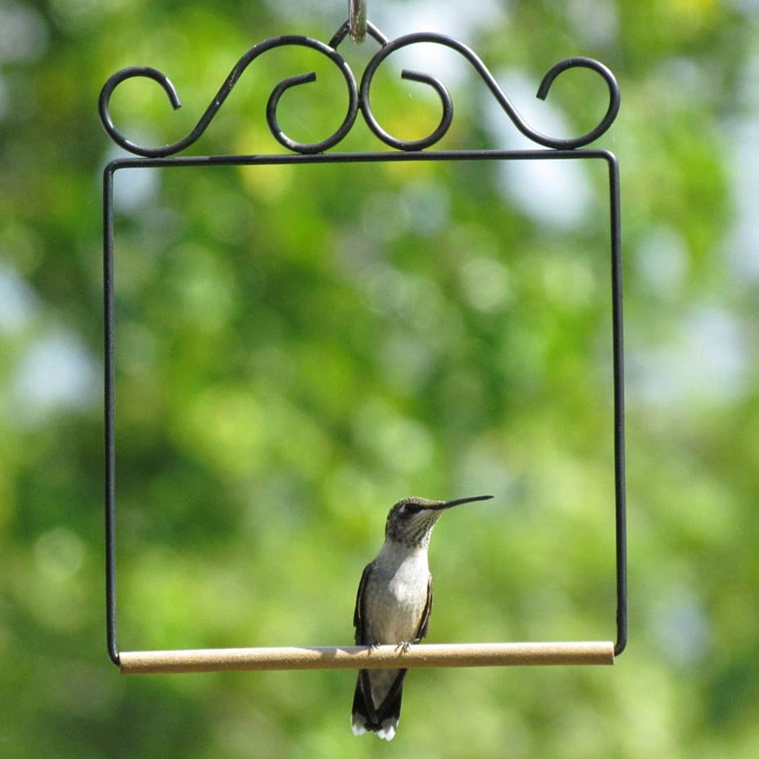 Premium Stainless Steel Hummingbird Swing