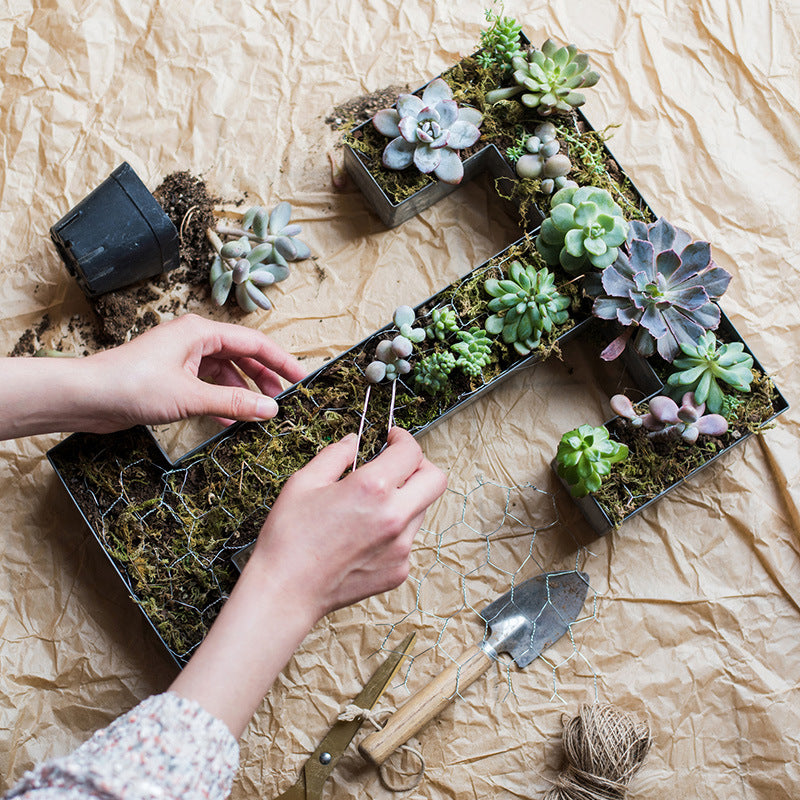 succulent letter planter Iron Alphabet Letters succulent plants/Moss/small fern Planter Contain