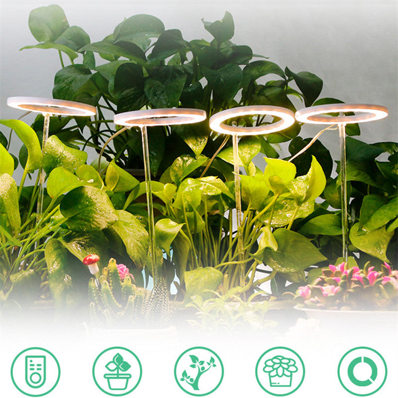 LED Angel Ring Grow Light USB Lamp For Plants